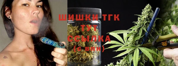 гидра Верея