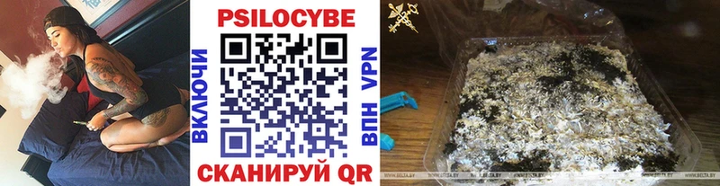 купить наркотики цена  Ростов  Псилоцибиновые грибы Psilocybine cubensis 